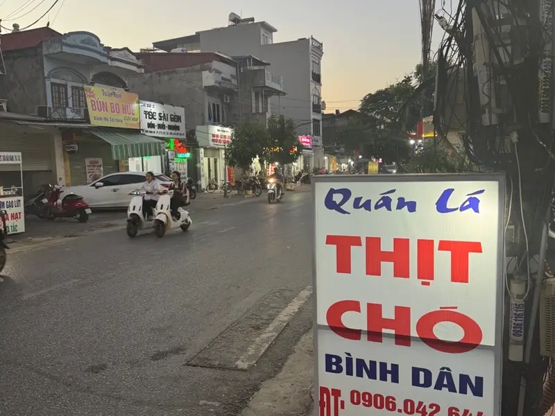 Nhà 4 Tầng Hiện Đại Phường Đông Hải – Không Gian Rộng Rãi Đón Ánh Sáng Tự Nhiên... Bán nhà riêng tại Đông Hải, Hải Phòng 01