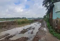 Bán đất mặt tiền đường bờ sông tại Phường An Phú Đông, Hồ Chí Minh, diện tích 89 m2... Bán đất tại An Phú Đông, Hồ Chí Minh 02