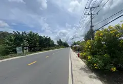 Bán đất 305 m2 mặt tiền đường Thanh Niên Tân Vĩnh Lộc... Bán đất tại Bình Lợi, Hồ Chí Minh 05