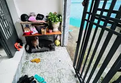 Bán nhà riêng 40.7m² - Bãi Sậy, Quận 6 - Giá 4.3 tỷ lý tưởng cho gia đình... Bán nhà riêng tại Bình Tiên, Hồ Chí Minh 04