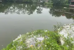 Đất nở hậu mặt tiền rộng tại Ngọc Tỉnh, Bắc Ninh giá ưu đãi... Bán đất tại Song Liễu, Bắc Ninh 09