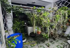Nhà trung tâm Bình Tân, Bình Trị Đông
 4 tầng. , 6ty950. Đường xe tải tránh... Bán nhà mặt phố tại Bình Tân, Hồ Chí Minh 07