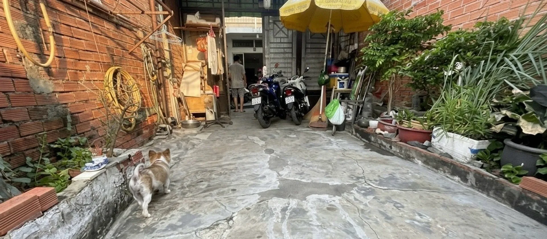 Bán nhà riêng 1 tầng tại Bình Thành, diện tích 115.3m², hẻm xe tải, giá 4.7 tỷ... Bán nhà riêng tại Bình Tân, Hồ Chí Minh 01
