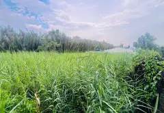 Đất view sông siêu mát - không gian nghỉ dưỡng lý tưởng... Bán đất tại Hiệp Phước, Hồ Chí Minh 07