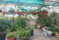 Bán chung cư mini lô góc 3 mặt tại quận Hà Đông, 150m2, dòng tiền 100 triệu/tháng... Bán chung cư mini tại Hoàng Liệt, Hà Nội 12