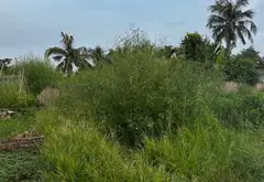 Lô đất tiềm năng khu Tân Vũ, Hải An với vị trí đắc địa và diện tích lý tưởng... Bán đất tại Hải An, Hải Phòng 01
