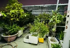 Kênh 19/5 Cần bán... Bán nhà riêng tại Tây Thạnh, Hồ Chí Minh 07