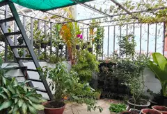 Cơ Hội Sở Hữu Nhà Mặt Phố Kinh Doanh Siêu Đẹp Tại Bình Tân... Bán nhà mặt phố tại Bình Tân, Hồ Chí Minh 09