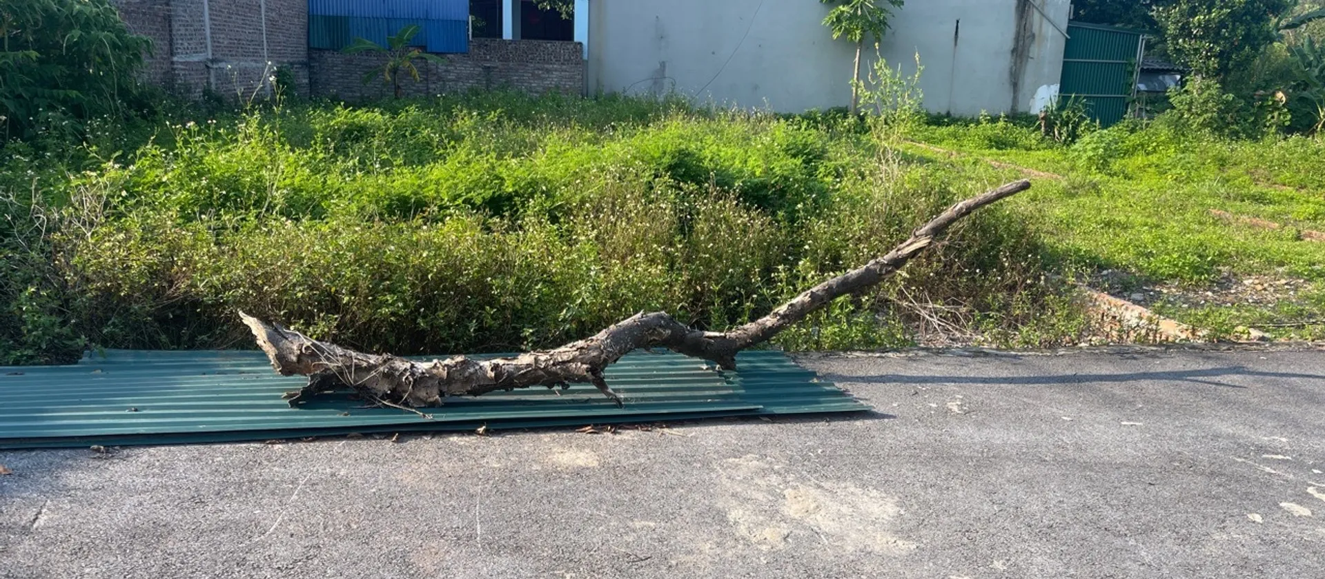 Bán đất 114,3m2 gần trung tâm xã Thanh Sơn - Sóc Sơn... Bán đất tại Kim Anh, Hà Nội 01