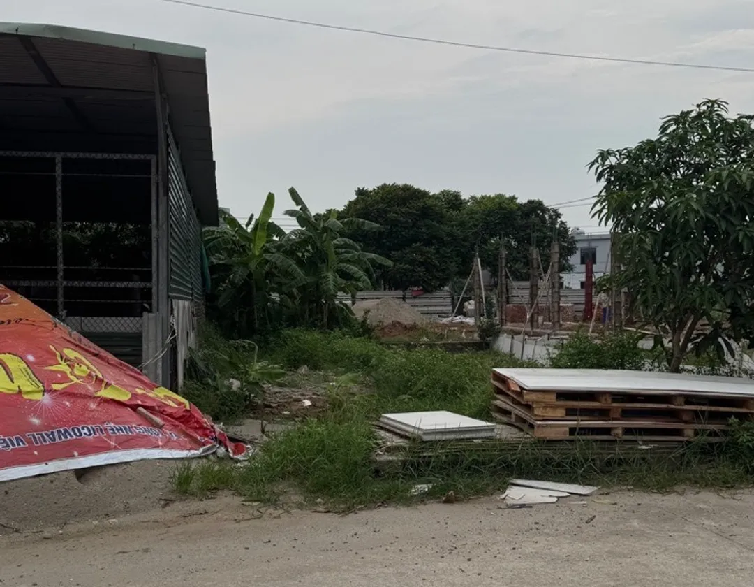 Bán đất 81m2 tại khu đấu giá Đình Tổ, mặt tiền 4.5m, ô tô tránh... Bán đất tại Thuận Thành, Bắc Ninh 01