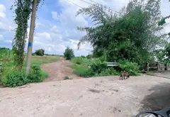 Đất - 2945.1m² - Phú Hòa Đông, Củ Chi, TP Hồ Chí Minh - 3.6 tỷ... Bán đất tại Phú Hòa Đông, Hồ Chí Minh 09