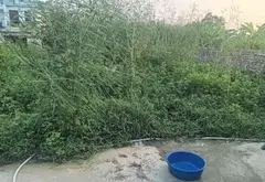 Đất siêu đẹp gần trung tâm Sóc Sơn, mặt tiền rộng thoáng... Bán đất tại Sóc Sơn, Hà Nội 05