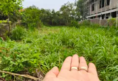 Cơ hội sở hữu mảnh đất thổ cư 300m² cực kỳ vuông vắn tại khu dân cư cao cấp... Bán owner_side tại Kim Anh, Hà Nội 10