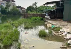 Siêu phẩm đất lô góc nở hậu thôn Vàng Thông, Gia Bình - Cơ hội đầu tư cực hiếm... Bán đất tại Gia Bình, Bắc Ninh 12