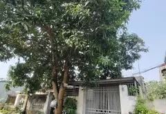 Nhà cấp 4 - Đất vàng gần sân bay, cơ hội không thể bỏ lỡ!... Bán nhà riêng tại Sóc Sơn, Hà Nội 04
