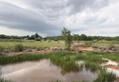 Bán đất khuôn viên lớn xã Bình Khánh, Cần Giờ, diện tích 17.436m2, giá 139 tỷ đồng... Bán đất tại Bình Chánh, Hồ Chí Minh 12