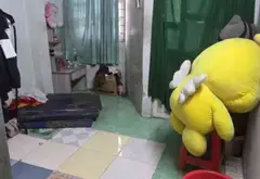 Nhà 2 mặt tiền, 2 tầng ngay cầu Hậu Giang, 3 phòng ngủ... Bán nhà riêng tại Bình Phú, Hồ Chí Minh 11
