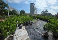Lô góc 3 mặt thoáng view Landmark Ecopark tại Phụng Công... Bán đất tại Phụng Công, Hưng Yên 01