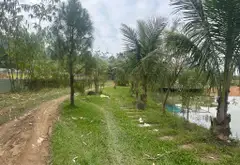 Khu nghỉ dưỡng vườn cây ao cá siêu đẹp tại Trung Giã... Bán đất tại Trung Giã, Hà Nội 07