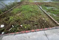 Bán đất 91,3m2 tại Lương Xá, Bắc Ninh giá tốt... Bán đất tại Trung Chính, Bắc Ninh 03