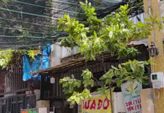 Nhà riêng sang trọng tại Bình Tân - Không gian sống lý tưởng, tiện nghi hoàn hảo... Bán nhà riêng tại Bình Hưng Hòa, Hồ Chí Minh 15