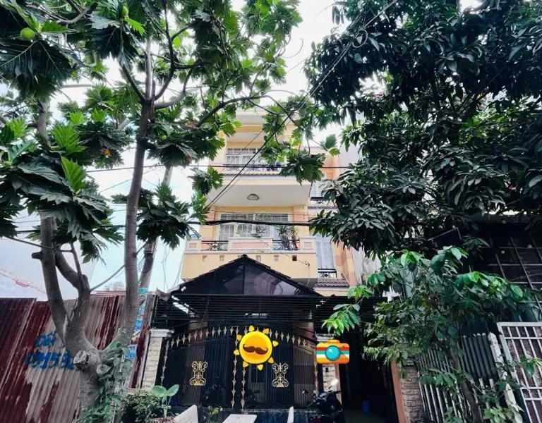 Nhà mặt tiền Kinh Doanh Đường Số Bình Hưng – Ô Tô vào nhà... Bán nhà mặt phố tại Bình Hưng, Hồ Chí Minh 01