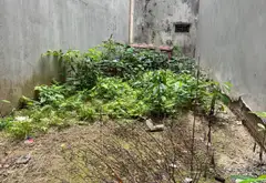 MẢNH ĐẤT VÀNG TÂY HỒ... Bán nhà riêng tại Phú Thượng, Hà Nội 01