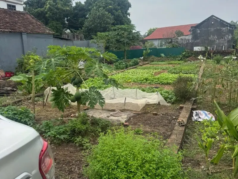 Cơ Hội Sở Hữu Lô Đất Đẹp Ngay Trung Tâm Thắng Trí - Minh Trí... Bán đất tại Kim Anh, Hà Nội 01