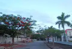 Cơ Hội Vàng Sở Hữu Đất Biệt Thự Trung Tâm Kiến An Với Giá Chỉ 38 Triệu/m2... Bán đất tại Kiến An, Hải Phòng 04