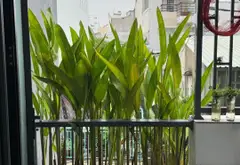 Nhà 2 mặt tiền hiếm có ngay trung tâm Thủ Đức... Bán nhà mặt phố tại Thủ Đức, Hồ Chí Minh 14