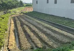 Đất đẹp hiền lương Đào viên Bắc Ninh 2,1tỷ... Bán đất tại Đào Viên, Bắc Ninh 01