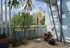 Nhà mặt tiền 5m khu VIP Tân Bình, cực phẩm kinh doanh... Bán nhà mặt phố tại Bảy Hiền, Hồ Chí Minh 15