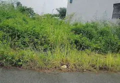 Lô Đất Hiếm Tại Trái Tim Thủy Nguyên, Cơ Hội Vàng Cho Nhà Đầu Tư... Bán đất tại Thủy Nguyên, Hải Phòng 12