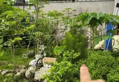 Lô đất vuông vắn hướng Tây Bắc tại Thủy Nguyên, Hải Phòng, diện tích rộng 66.9 m²... Bán đất tại Bạch Đằng, Hải Phòng 03