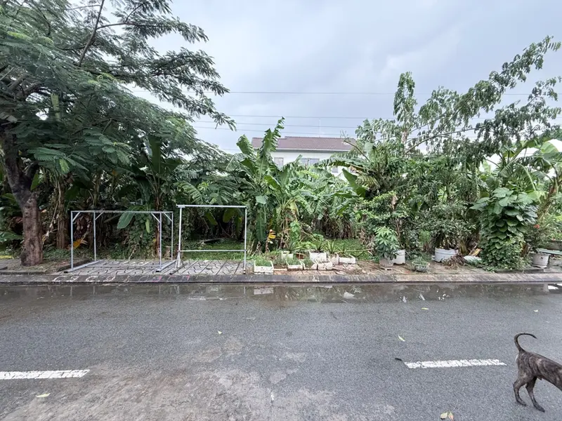 Bán 62m2 Đất, Sổ Hồng Riêng, Full Thổ Cư, Hxh Đường 12 Tam Đa, Long Phước. Chỉ 3.5 Tỷ Thương Lượng.... Bán đất tại Long Phước, Hồ Chí Minh 01