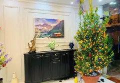 Bán liền kề khu đấu giá Ngô Thì Nhậm 48m2, gần chân chung cư - Cơ hội sở hữu ngay vị trí vàng... Bán biệt thự, liền kề tại Hà Đông, Hà Nội 04