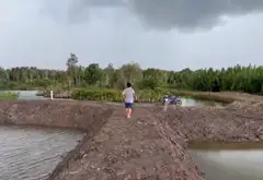Bán đất nông nghiệp 20.405m2 tại Hiệp Phước, Nhà Bè... Bán đất tại Hiệp Phước, Hồ Chí Minh 05