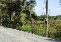 Bán đất thổ cư 5583m2 mặt tiền 35m tại Bình Lợi, Bình Chánh... Bán owner_side tại Bình Lợi, Hồ Chí Minh 08