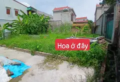 Đất đẹp Sóc Sơn gần KCN Nội Bài, tiềm năng tăng giá... Bán owner_side tại Sóc Sơn, Hà Nội 03