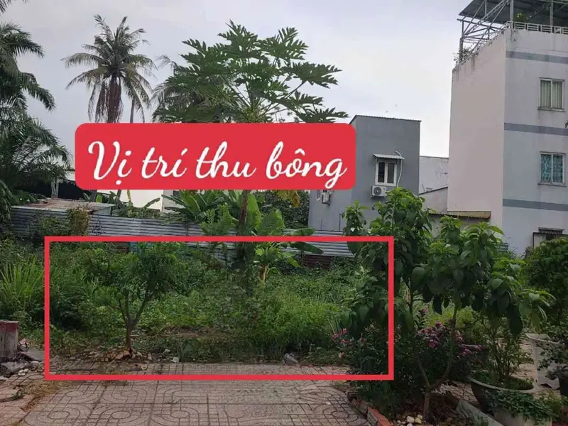 🌻CẦN BÁN GẤP
👉HẺM XE HƠI... Bán đất tại An Phú Đông, Hồ Chí Minh 01