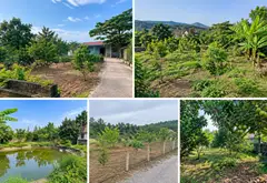 Đất vàngTrạm Lộ, Bắc Ninh 51m2, giá 1 tỷ nhỉnh, 0353732090... Bán đất tại Trạm Lộ, Bắc Ninh 03