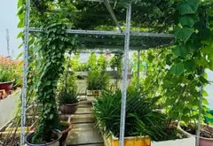 Biệt thự 4 tầng thang máy ngay trung tâm Bình Tân, hẻm xe tải ngủ trong nhà... Bán nhà riêng tại Bình Trị Đông, Hồ Chí Minh 09