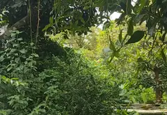 Nhà 5 tầng mới có thang máy, Bình Tân, 57.6m2, giá 10.8 tỷ... Bán nhà riêng tại Bình Hưng Hòa, Hồ Chí Minh 03