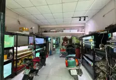 🏡 MẶT TIỀN KINH DOANH – ĐƯỜNG SỐ 9, LINH XUÂN – 5,3 Tỷ... Bán nhà mặt phố tại Linh Xuân, Hồ Chí Minh 03