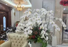 Siêu biệt thự 250m2 lô góc 4 thoáng đẳng cấp tại khu đô thị Việt Hưng, Long Bi- giá ưu đãi bất ngờ... Bán biệt thự, liền kề tại Việt Hưng, Hà Nội 07