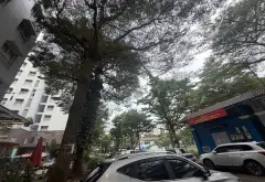 Bán căn hộ chung cư tầng 1 tại Bình Tân, diện tích 62m2, pháp lý chuẩn... Bán căn hộ chung cư tại An Lạc, Hồ Chí Minh 01