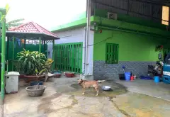 Xưởng sản xuất hiện đại, vị trí đắc địa tại Bình Chánh... Bán kho, nhà xưởng tại Bình Lợi, Hồ Chí Minh 08
