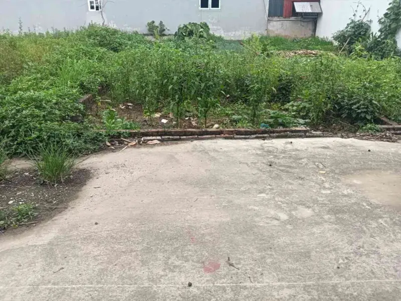 Bán đất thổ cư 64,5m2 mặt tiền 4,2m khu dân cư phát triển tại xã gần sân bay... Bán đất tại Kim Anh, Hà Nội 01