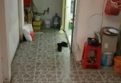 Bán nhà riêng tại Bông Sao, diện tích 49.6m2, pháp lý rõ ràng, giá 3.2 tỷ... Bán nhà riêng tại Bình Đông, Hồ Chí Minh 05