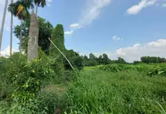 Bán đất phường Tam Bình, TP Thủ Đức, diện tích lớn giá hợp lý... Bán đất tại Tam Bình, Hồ Chí Minh 02